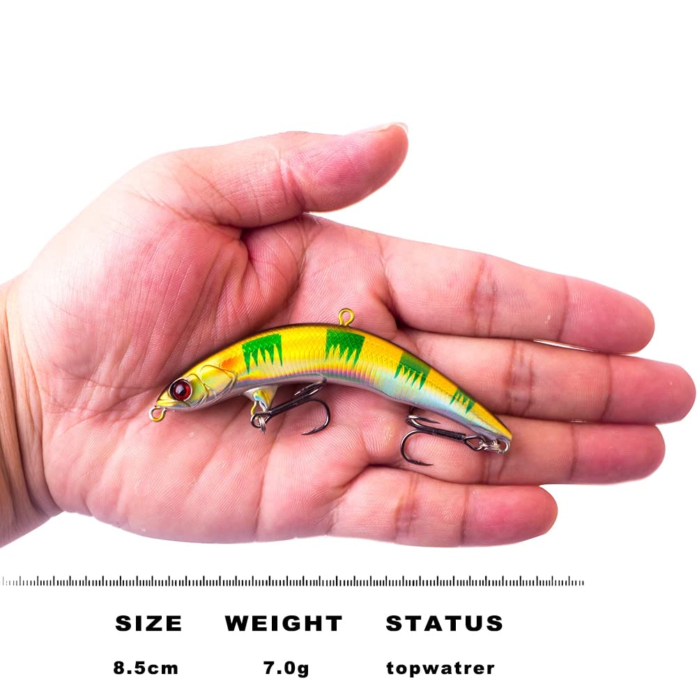 レアです！壮平ルアー　コブダイカチカチ　トップウォーター 新品未使用 壮平ルアー コブダイカチカチ - メルカリ